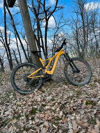 Specialized Turbo Levo