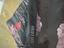 Immagine 2