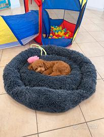 Cuccia Nest Bed Donut Ortopedico Letto Morbido