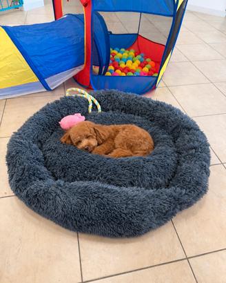 Cuccia Nest Bed Donut Ortopedico Letto Morbido