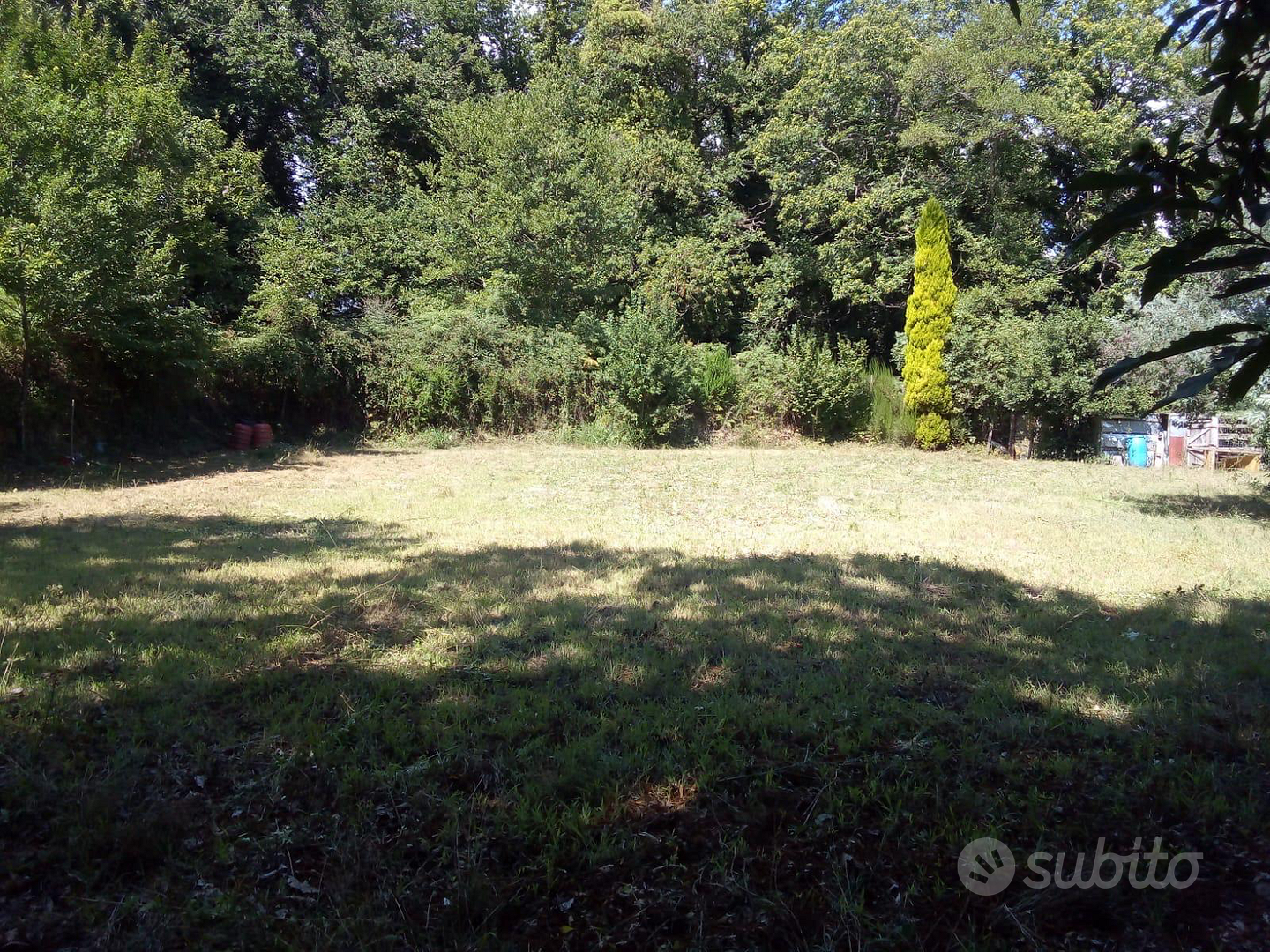 Terreno agricolo - Vista 4