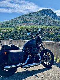 Harley davidson  883 iron