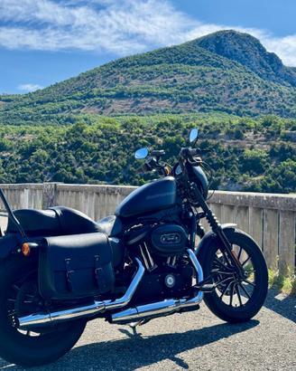 Harley davidson  883 iron