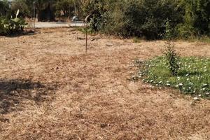 Terreno uso agricolo