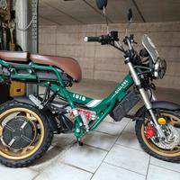 Garelli Ciclone Scout elettrico