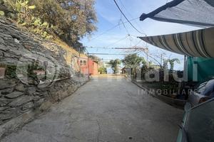 Terreno Agricolo Alì [0681-103VCG]