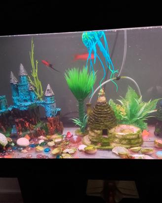 acquario  misure 117 per 82  per32