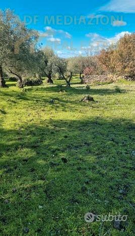 Terreno Agricolo Con Rudere - Vista 3