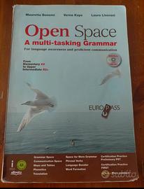 OPEN SPACE A MULTI-TASKING GRAMMAR 