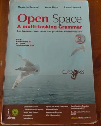 OPEN SPACE A MULTI-TASKING GRAMMAR 