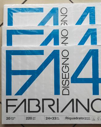 N°3 Album F4 Fabriano Riquadrato (20 Fogli)