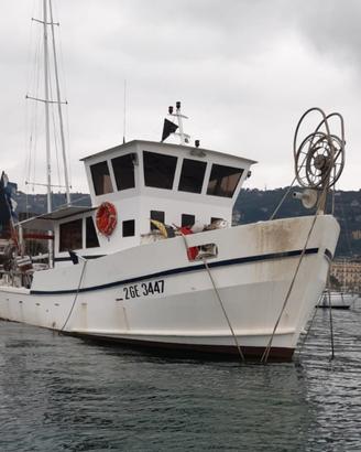 Barca da pesca