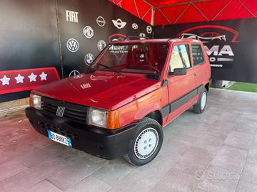 Fiat Panda 900 i.e. cat Young