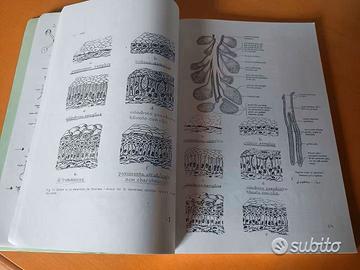 Dispensa univ. Anatomia/fisiolog. animali domestic