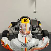 OK Senior Kart Republic-Modena Engine