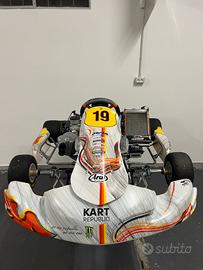 OK Senior Kart Republic-Modena Engine