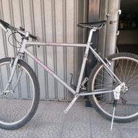 Atala mtb Bird bicicletta 