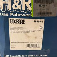 Molle assetto H&R