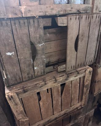Casse legno due tipologie frutta e verdura