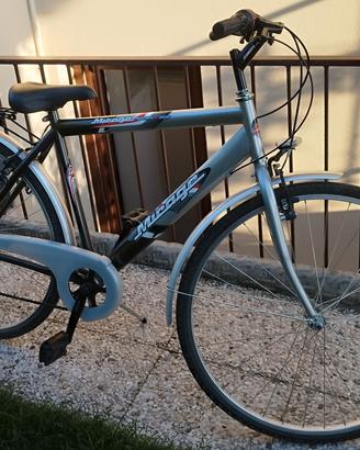 Bicicletta Citybike