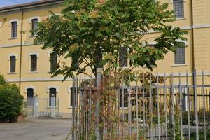 Palazzina Uffici Da Ristrutturare Milano Sud