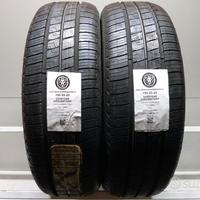 2 gomme 195 55 20 goodyear a8096