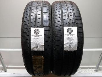 2 gomme 195 55 20 goodyear a8096