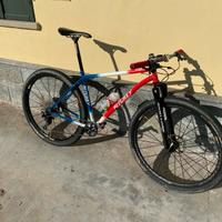MTB Ritchey P-29 er