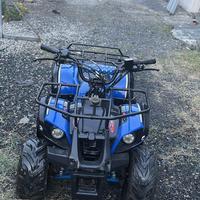 Quad 115