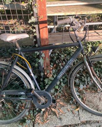 bicicletta uomo