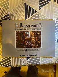 La Bassa com'è - Spigaroli