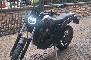 Beta alp 4.0 X