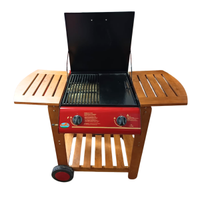 BARBECUE GRILL FIRE A GAS