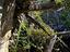 Immagine 20