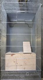 Gabbia porcellini d'india e conigli