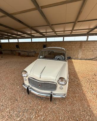 FIAT 1100 103 H Lusso (1960)