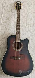 Chitarra acustica elettrificata Ibanez + accessori