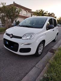 Panda diesel 