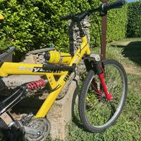Bici MOUNTAIN BIKE