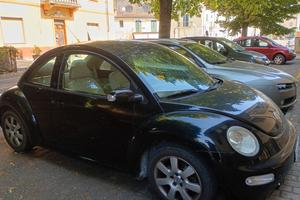 New Beetle nera