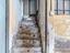 Immagine 12