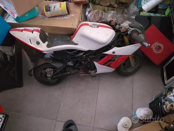 mini moto iame