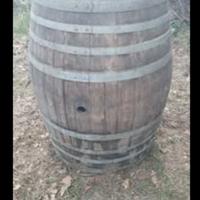 Botte in rovere barrique