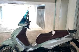 Beverly 300