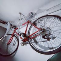 bicicletta da strada ciclo Company 