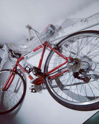bicicletta da strada ciclo Company 