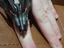 Immagine 6