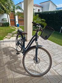 E-Bike elops classic 900 E