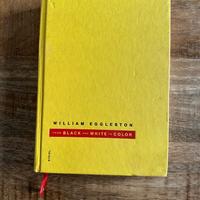 William Eggleston - FROM BLACK AND WHITE TO COLOR