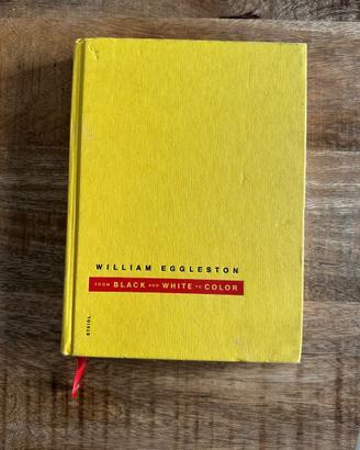 William Eggleston - FROM BLACK AND WHITE TO COLOR